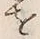 “田”字