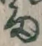 字雨