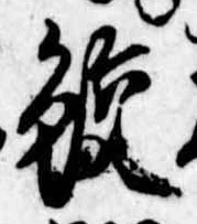 位置 確認된 鮫