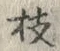 Chữ 枝