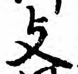 位置 確認된 支