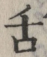 已定位舌