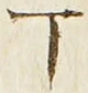 文字丁