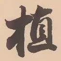 文字 植