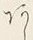 𡨸あ