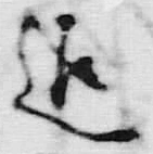 「罷」字