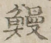 已定位鰻