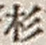 글자 杉