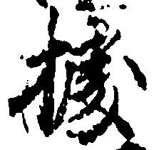 已定位拠