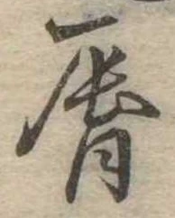 位置定マレル唇