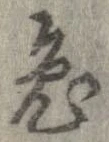 已定位兎