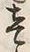 文字ヶ