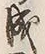 Character 天