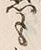 “懸”字