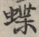 位置定マレル蝶