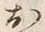 「お」字