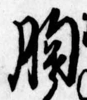 位置定マレル胸