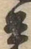位置 確認된 兵