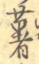 已定位薯