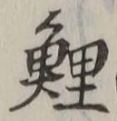 Character 鯉