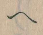 已定位𛂹