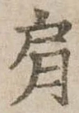 已定位肩