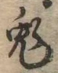 已定位兎