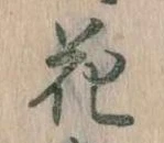 位置 確認된 花