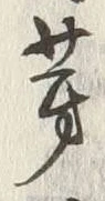 文字 芽