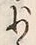 Character 少