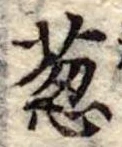 Đã định vị 葱