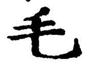 字毛