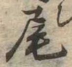 Located 尾
