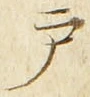 文字 戸