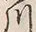 文字隅