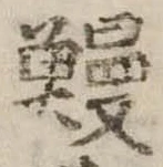 已定位鰻