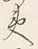 文字夷