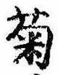 已定位菊