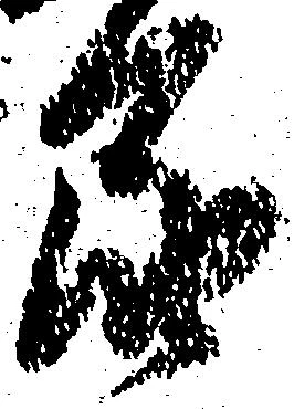 届，已得其位