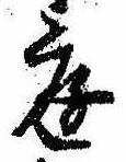 位置 確認된 庭