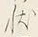 字状