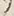 文字元