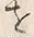 字得