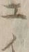文字 ユ