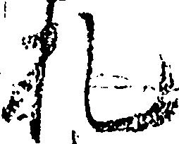 Đã định vị 札
