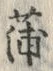 字蒲