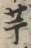 已定位芋