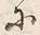 字子