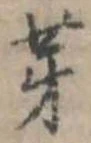 位置 確認된 芽
