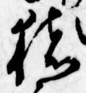 已定位猪